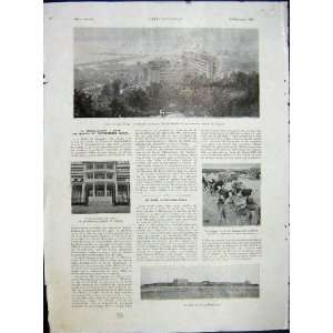  Alger Mauritania Camel Transport French Print 1933