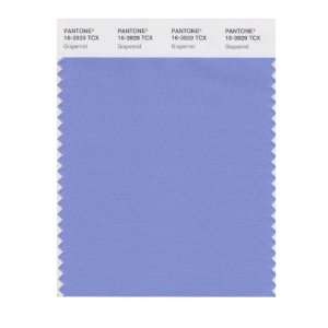  PANTONE SMART 16 3929X Color Swatch Card, Grapemist