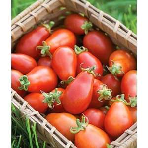  Tomato, Red Pear Organic 1 Pkt. (25 Seeds) Patio, Lawn 