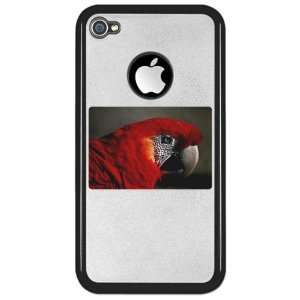  iPhone 4 or 4S Clear Case Black Scarlet Macaw   Bird 