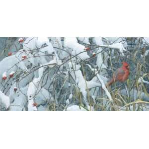  Robert Bateman   Fresh Snow   Cardinal Canvas Giclee