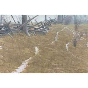  Robert Bateman   Pasture Trails Red Fox