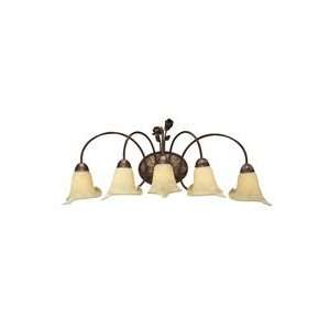   Rosemont Transitional 5 Light Bathroom Fixture from the Rosemont Co