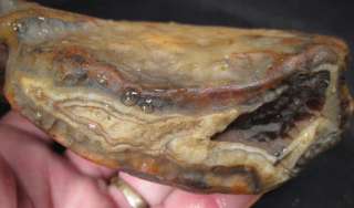 rm69   NEW STOCK   MAD RIVER AGATE   Madagascar   5.3 lbs #373  