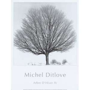  Arbres DHivers IV   Poster by Michel Ditlove (11.75x15.75 