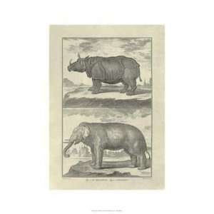  Denis Diderot   Elephant Rhino GICLEE Canvas