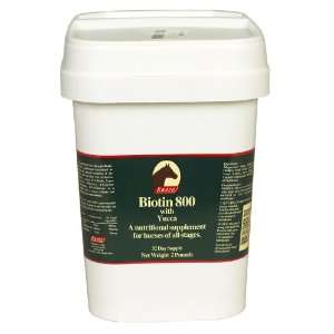  Biotin 800 Powder   2 lb (16 32 days)