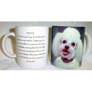  White Poodle Dog Photo Coffee Mug