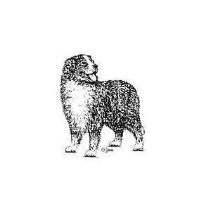  Bernese Mountain Dog Rubber Stamp