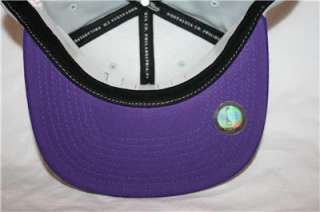 Mitchell & Ness Charlotte Hornets BIG LOGO Snapback Hat  
