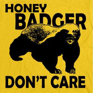 HONEY BADGER DONT CARE ~ Funny T SHIRT ALL SIZES + COLORS  