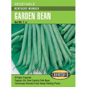  Pole Bean Kentucky Wonder Seeds Patio, Lawn & Garden