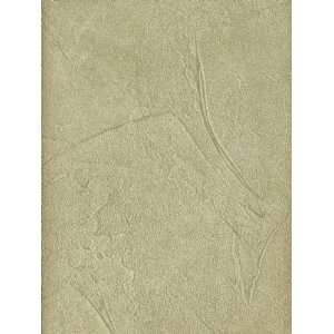   Wallpaper Seabrook Wallcovering Modern Faux FX81406