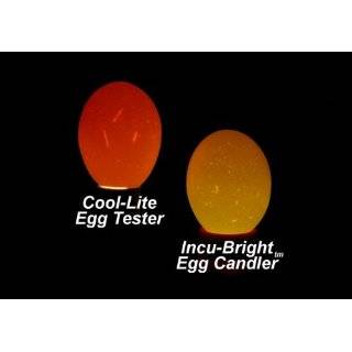 Incu Bright Cool Light Egg Candler   Incubator Warehouse Exclusive
