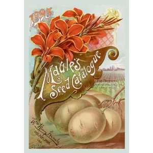  Maules Seed Catalogue, 1893 16X24 Giclee Paper