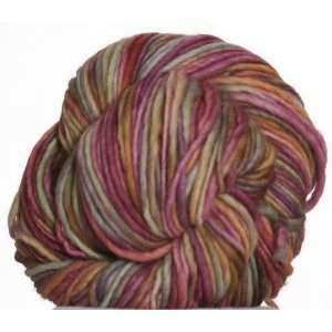  Manos del Uruguay Wool Clasica Space Dyed [Wildflowers 