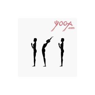  B.K.S. Iyengar, Yoga 93   Six Standing Poses Format VHS 