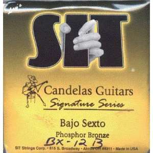  S I T Strings Bajo Sexto 12 String Phosphor Bronze .024 