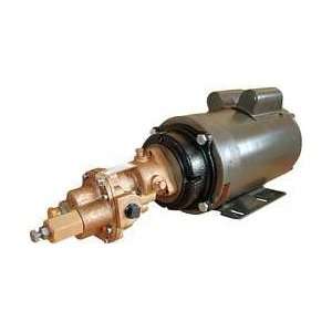 Dayton 4KHD9 Rotary Gear Pump, Bronze, 3 HP, 1 Ph  