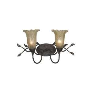  Home Decorators Collection Kiawah Two light Wall Sconce 