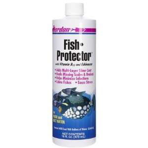 Kordon Fish Protector (Quantity of 4) Health & Personal 