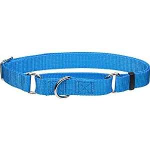   Slip Personalized Dog Collar in Light Blue, 5/8 Width
