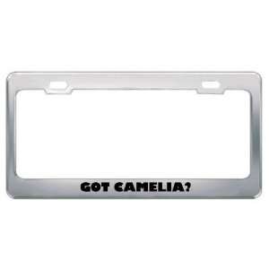  Got Camelia? Girl Name Metal License Plate Frame Holder 