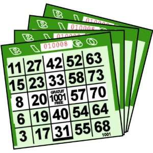  1 ON Green Plus Pattern Paper Bingo Cards (500 ct) Toys & Games