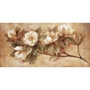  Sugar Magnolia by Albena Hristova 39x24