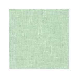  Duralee 31907   546 Key Lime Fabric Arts, Crafts & Sewing