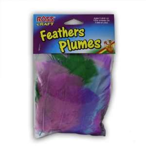  Ross Craft Feather Plumes   12 Pack Toys & Games
