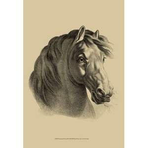  Equestrian Portrait II   Poster by Vision studio (13x19 