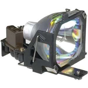  Electrified 60 246697 Replacement Lamp with Housing for 