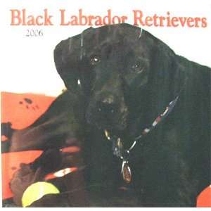  Black Labrador Retrievers 2006 Wall Calendar Office 