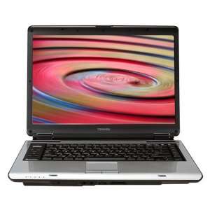 Laptop (Intel Pentium D Processor T2060, 1 GB RAM, 100 GB Hard Drive 