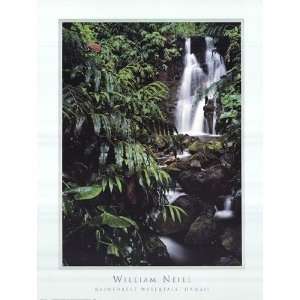  Rainforest Waterfall, Hawaii by William Neill 24x32