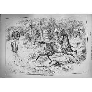  1884 Horseman Horse Bicycles Countryside Accident