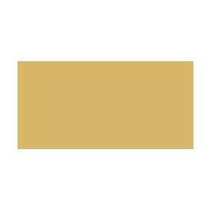  Canvas Corp Decorative Clothespins 12/Pkg Gold; 3 Items 