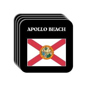  US State Flag   APOLLO BEACH, Florida (FL) Set of 4 Mini 