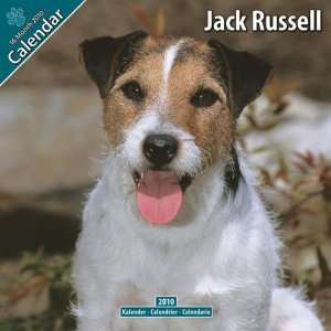  Jack Russell 2010 Wall Calendar 12 X 12