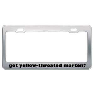 Got Yellow Throated Marten? Animals Pets Metal License Plate Frame 