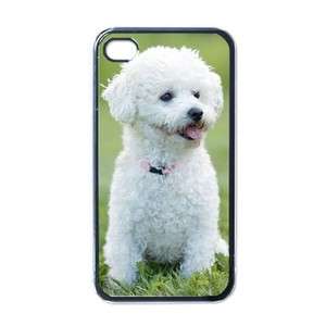 Bichon Frise Dog Puppy Puppies #3 Apple iPhone 4 Case Cover  