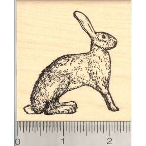  Antelope Jackrabbit, Wild Hare Rubber Stamp, Large Arts 
