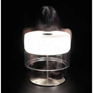 Bisquit table lamp   Catalog Featured   Fluorescent, brushed nickel 