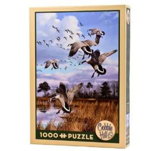  Canada Geese (1,000 Piece Puzzle) Toys & Games