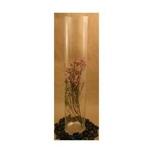  Cylinder Glass Vase 6x32 Arts, Crafts & Sewing