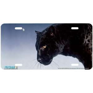 3522 Into the Night Black Panther License Plates Car Auto Novelty 