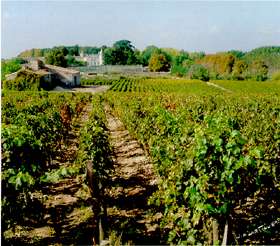 Chateau Lafite Rothschild Winery 