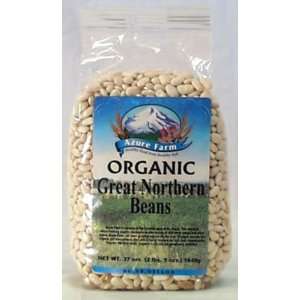 Azure Farm Great Northern Beans, Organic  Grocery 