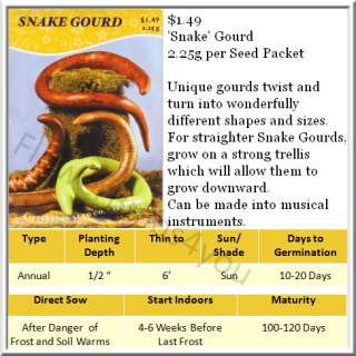 snake gourd is